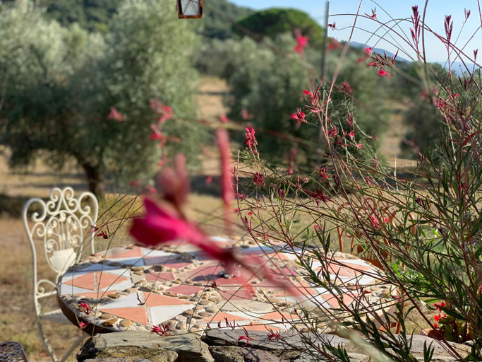 Exterior view 3, Agriturismo Poggio Falco Batignano, Grosseto