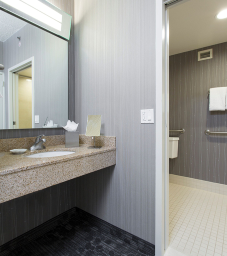 Bathroom 5, Courtyard by Marriott Rochester Brighton, Monroe