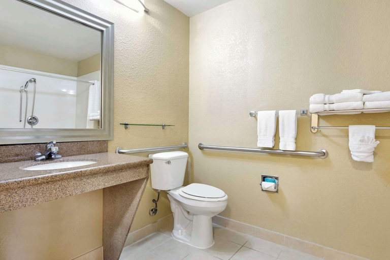 Bathroom 4, Best Western Plus Waco North, McLennan