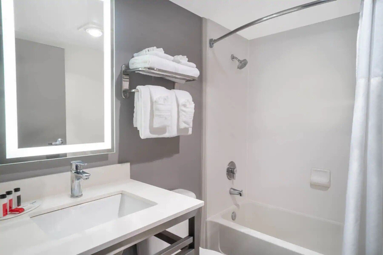 Bathroom 4, Quality Inn & Suites Nashville - Bellevue, Davidson