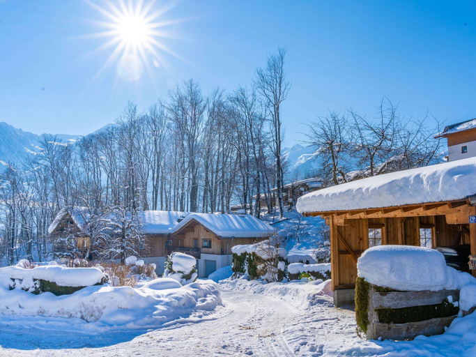 Exterior 3, Special Apartment in Walchen With Private Terrace, Zell am See