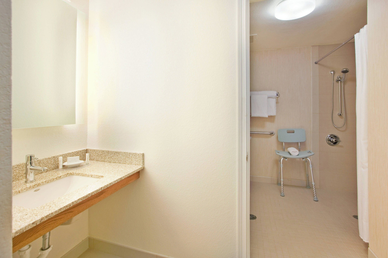 Bathroom 4, Residence Inn by Marriott Austin Round Rock/Dell Way, Williamson