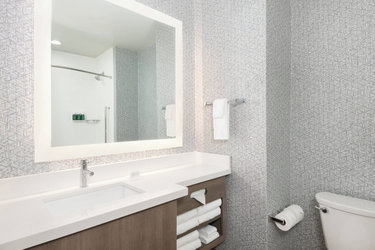 Bathroom 5, SpringHill Suites by Marriott Panama City Beach Beachfront, Bay