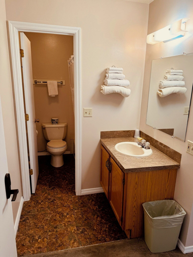 Bathroom 5, Ho Hum Motel, Gallatin