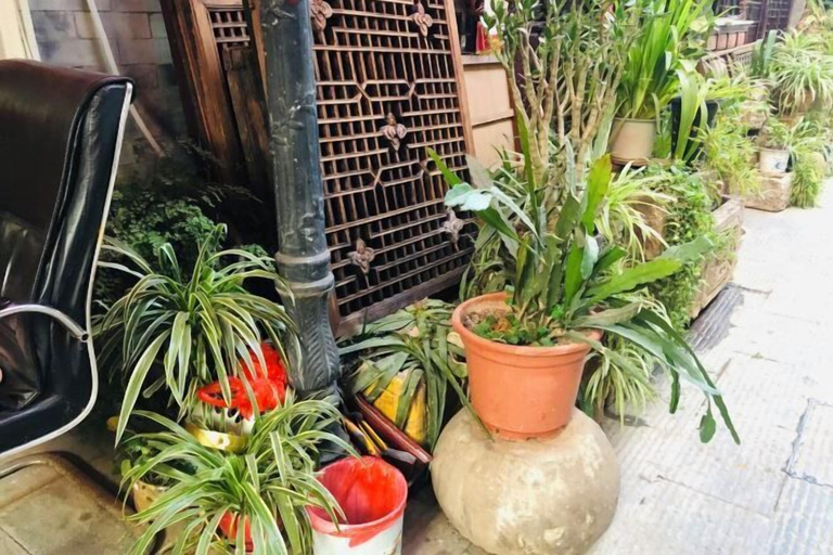 Others 5, Chuxiong Xuxin Inn, Chuxiong Yi