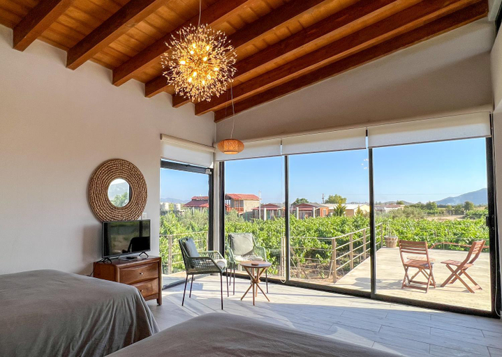 Vinedo Casa la Noria, Ensenada