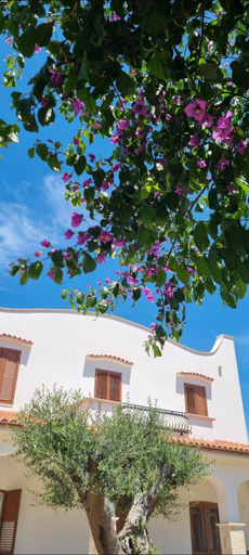 Others 5, Villa Guajira, Bari