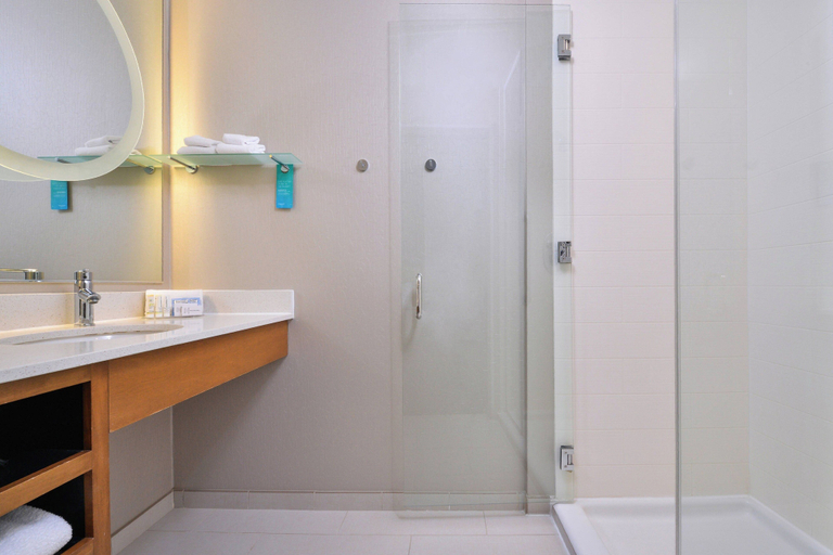 Bathroom 4, SpringHill Suites by Marriott Ashburn Dulles North, Loudoun