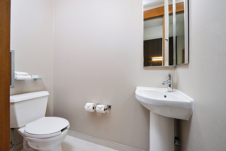 Bathroom 4, SpringHill Suites by Marriott Ashburn Dulles North, Loudoun