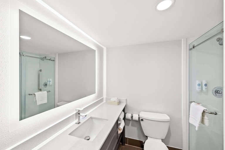 Bathroom 4, Comfort Inn & Suites Durham near Duke University, Durham