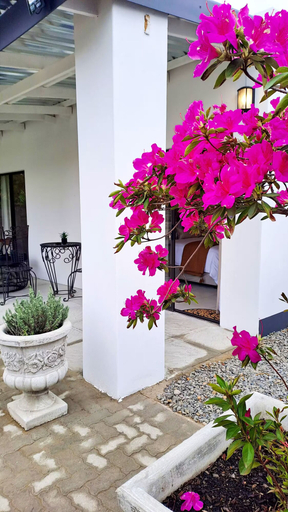 Exterior & Views, BOOM69 Guesthouse, Fezile Dabi