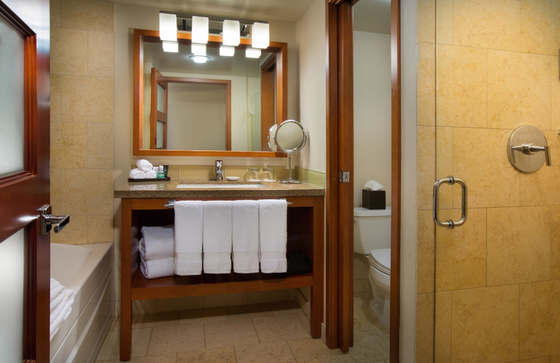 Bathroom 5, The Paramount Hotel, Seattle