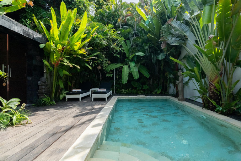 Swimming Pool 3