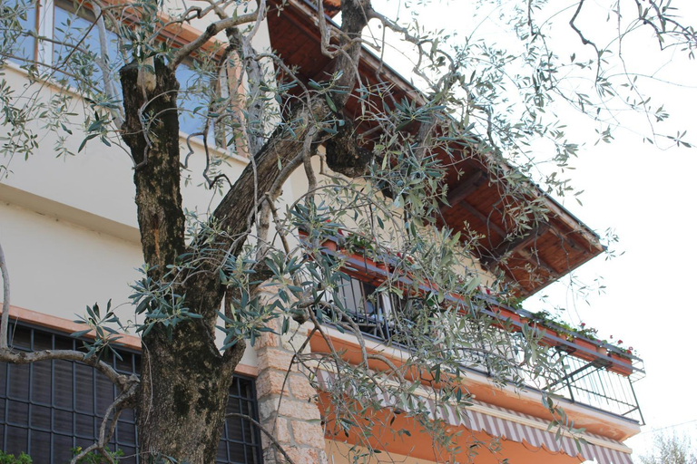 Others 4, Casa Ines Fronte Lago, Verona