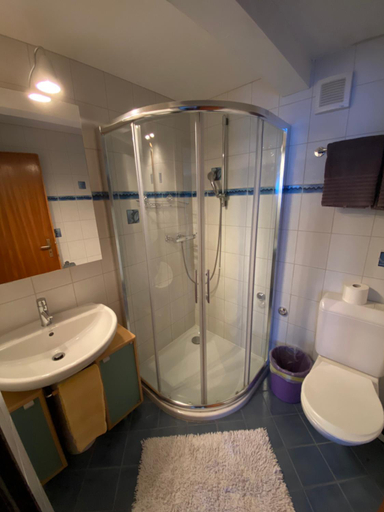 Bathroom, Chalet Alm, Visp