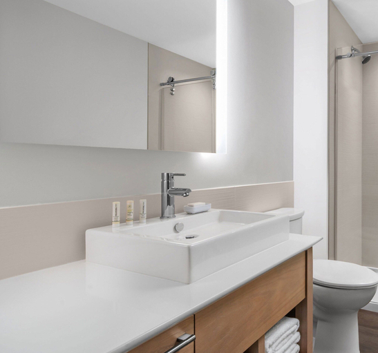 Bathroom 5, Element by Marriott Tampa Midtown, Hillsborough