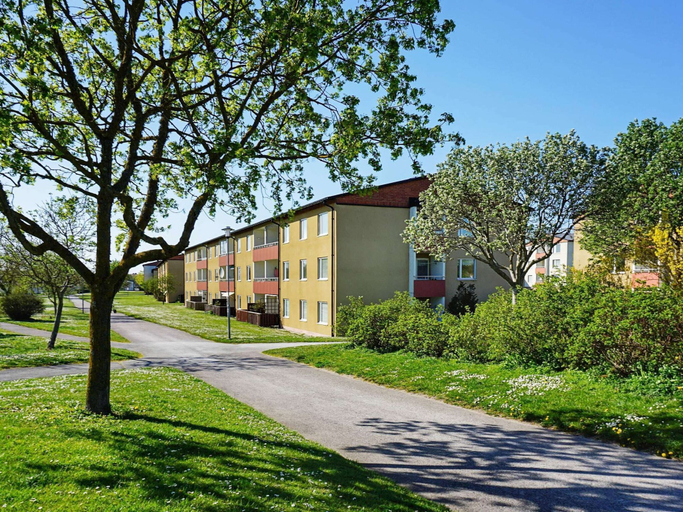 Primary image
