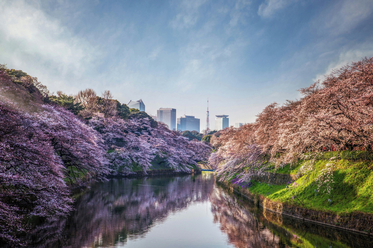 Four Seasons Hotel Tokyo at Otemachi, Chiyoda