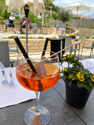 Food & Drinks 5, Hotel Restaurant Croix Blanche, Lac