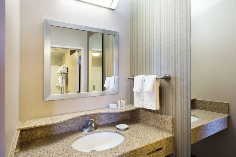Bathroom 4, SpringHill Suites by Marriott Indianapolis Fishers, Hamilton