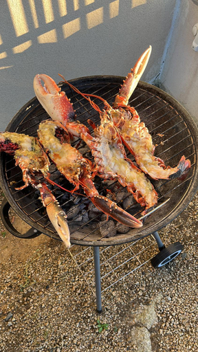 Food & Drinks, Ty Koad, Côtes-d'Armor