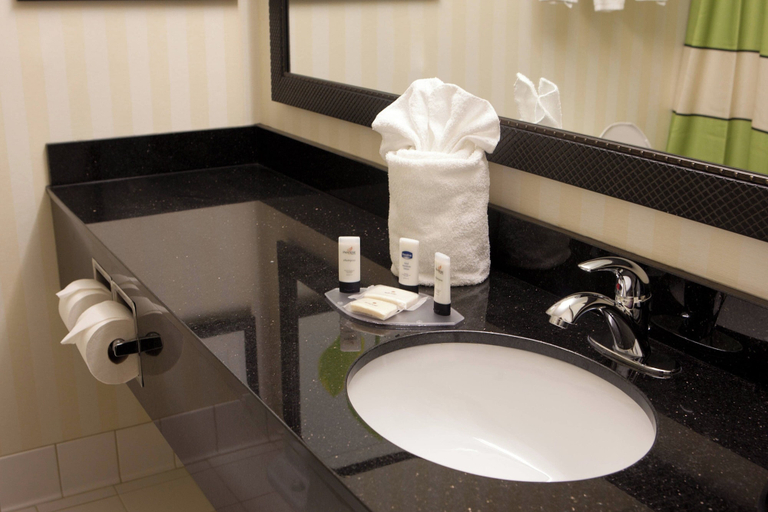 Bathroom 4, Fairfield Inn & Suites by Marriott Memphis East/Galleria, Shelby