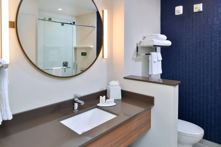Bathroom 4, Fairfield Inn & Suites by Marriott Charlotte University Research Park, Mecklenburg