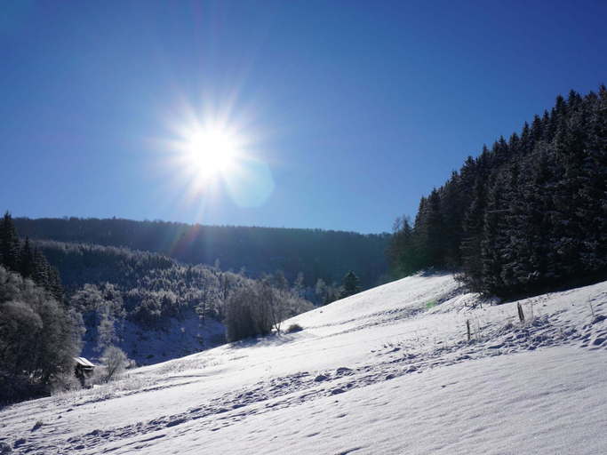 Others 5, Exclusive Group House in Winterberg in the Forest, Hochsauerlandkreis