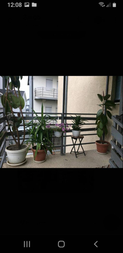 Others 3, Rooms Struga free parking quiet area