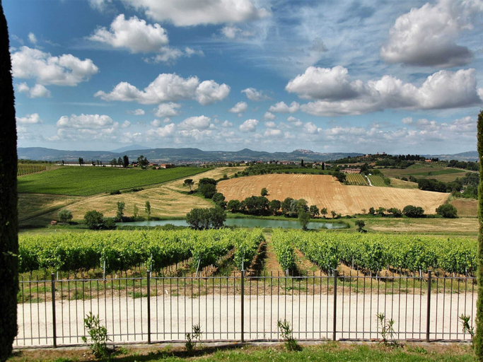 View from property 4, Vintage Mansion in Montepulciano With Pool, Siena