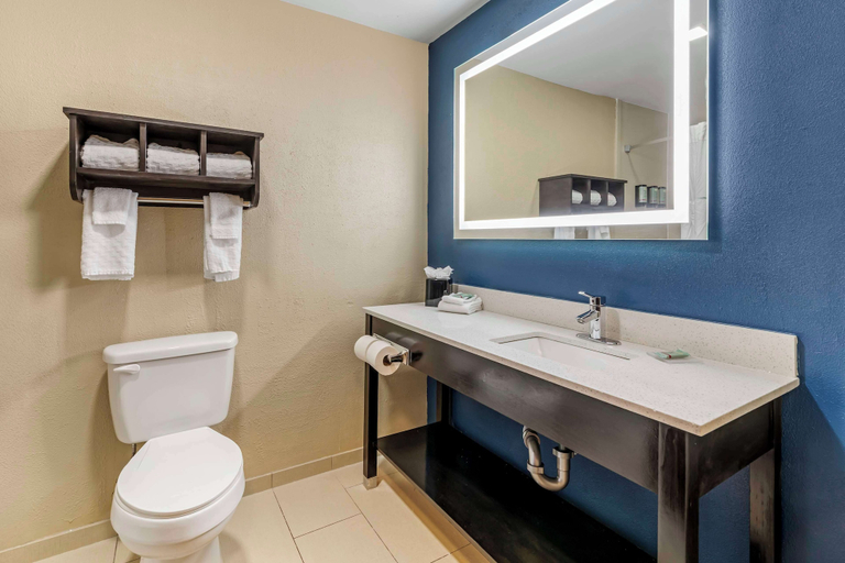 Bathroom 4, Best Western New Albany, Union