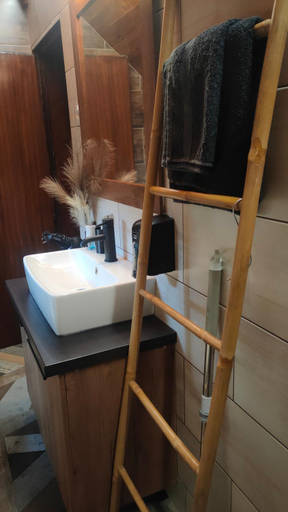 Bathroom, Vila Jezerski raj Borsko jezero, Bor