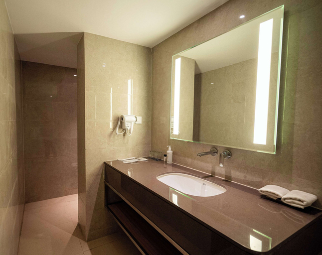 Bathroom 3, Golden Tulip Bhopal, Bhopal
