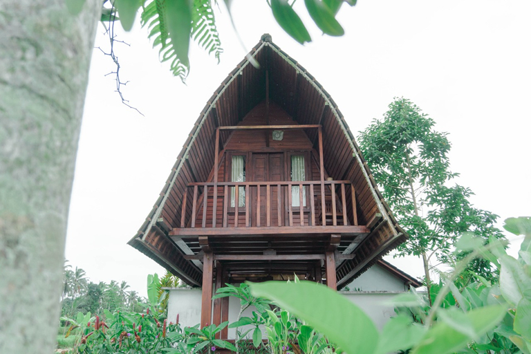 Exterior 5