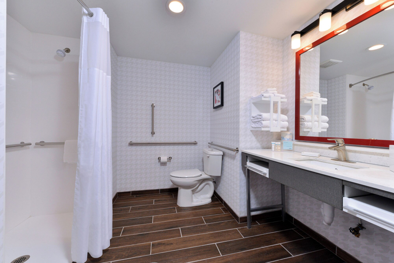 Bathroom 5, Hampton Inn & Suites Greensboro Downtown, Guilford