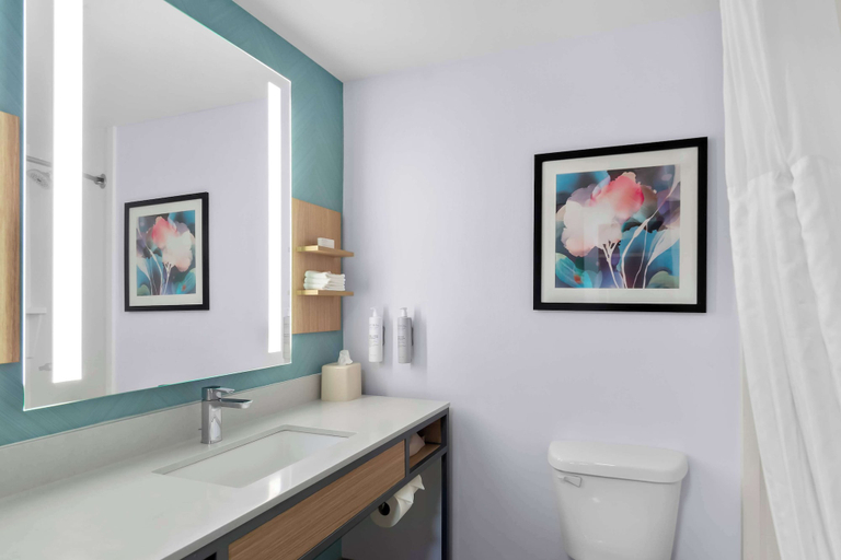 Bathroom 4, Hilton Garden Inn Lexington Georgetown , Scott