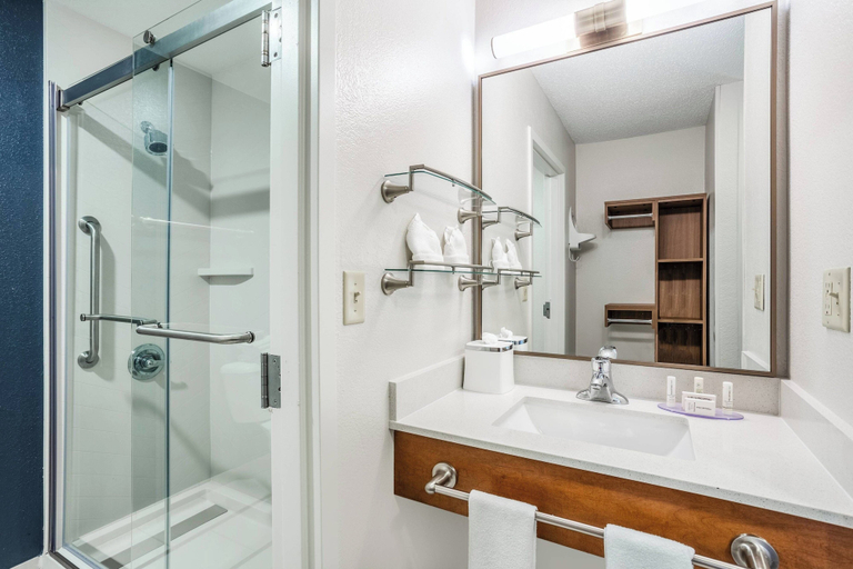 Bathroom 5, Fairfield Inn By Marriott Indianapolis Northwest, Indianapolis