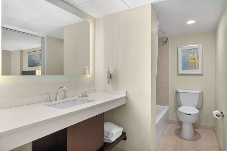 Bathroom 4, Hampton Inn & Suites Downers Grove Chicago, Dupage