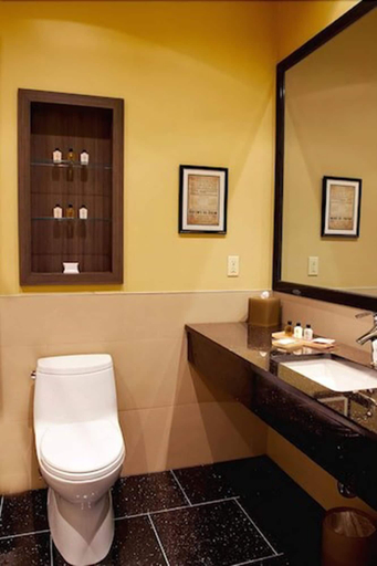 Bathroom 4, Opera House Hotel, New York