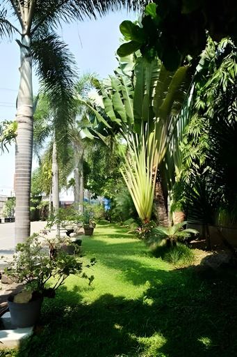 Scenery 4
