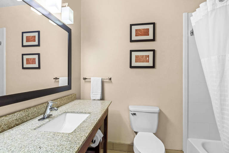 Bathroom 4, Comfort Suites Vincennes, Knox