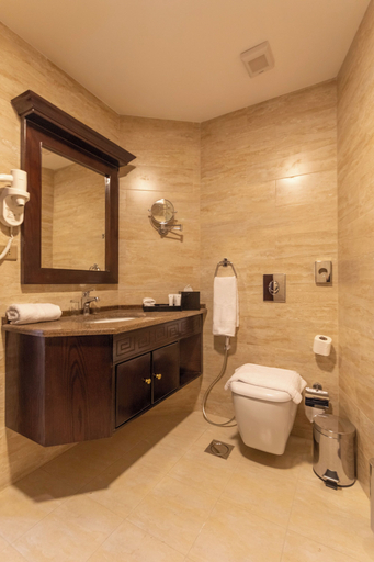 Bathroom 5, Petra Canyon Hotel, Wadi Musa