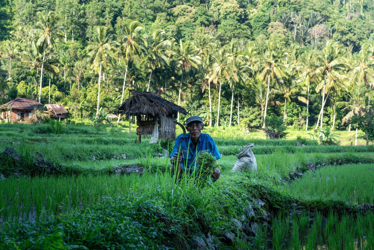 Others 5, Villa Markisa Pakisan, Buleleng