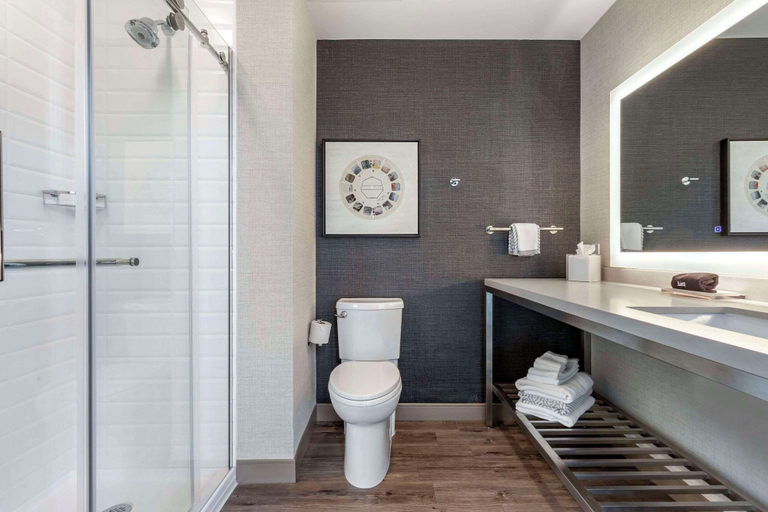 Bathroom 4, Cambria Hotel Savannah Downtown Historic District, Chatham