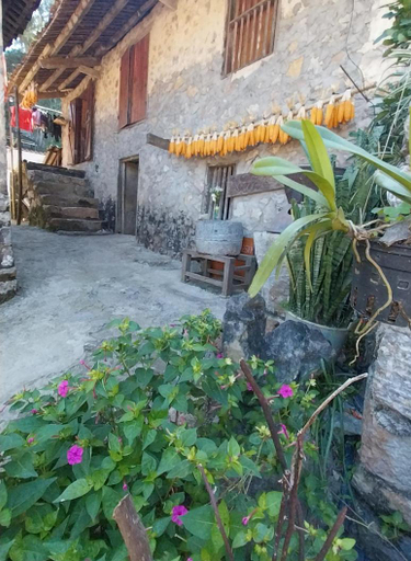 Others 3, Trieu Hoan Homestay, Trùng Khánh