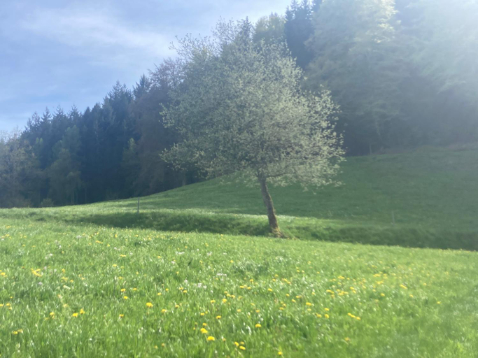 Others 3, Haus am alten Berg, Schwarzwald-Baar-Kreis