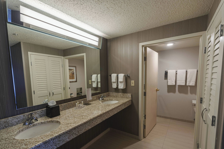 Bathroom 4, Courtyard by Marriott Cleveland Willoughby, Lake