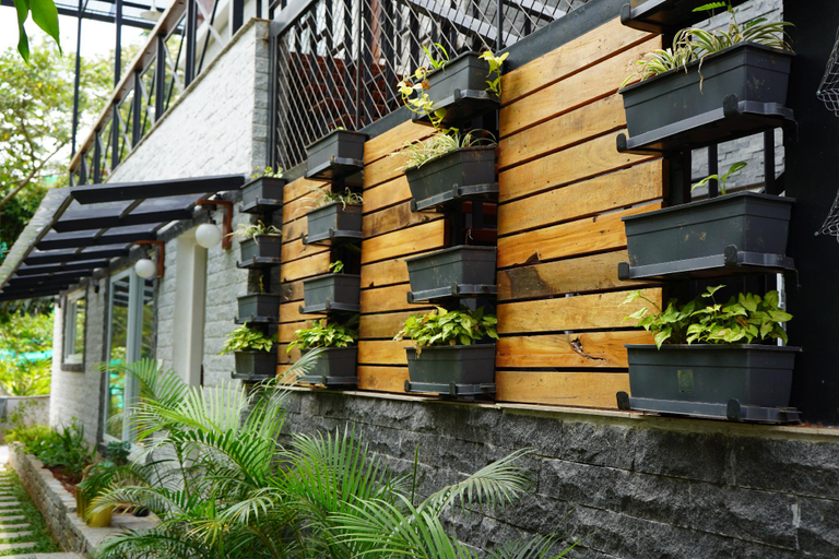 Exterior & Views