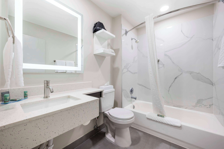 Bathroom 4, Best Western Heartland Inn, Coles