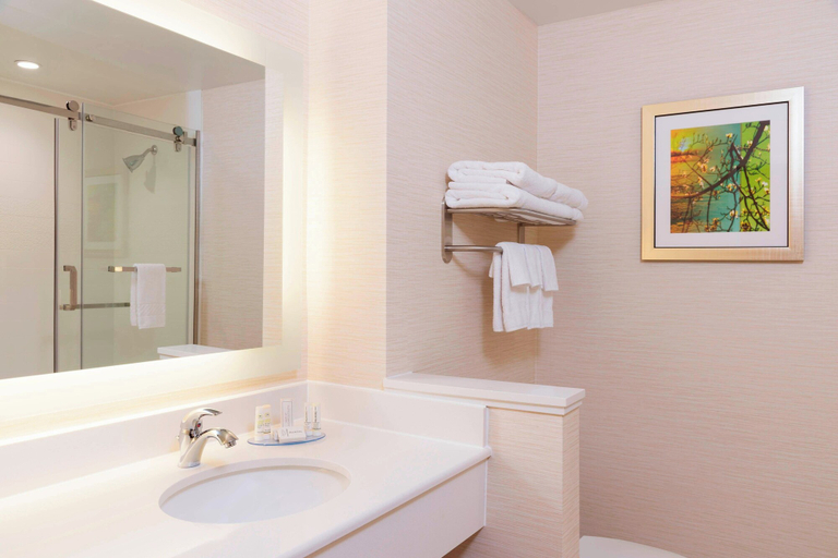 Bathroom 5, Fairfield Inn & Suites Medina, Medina